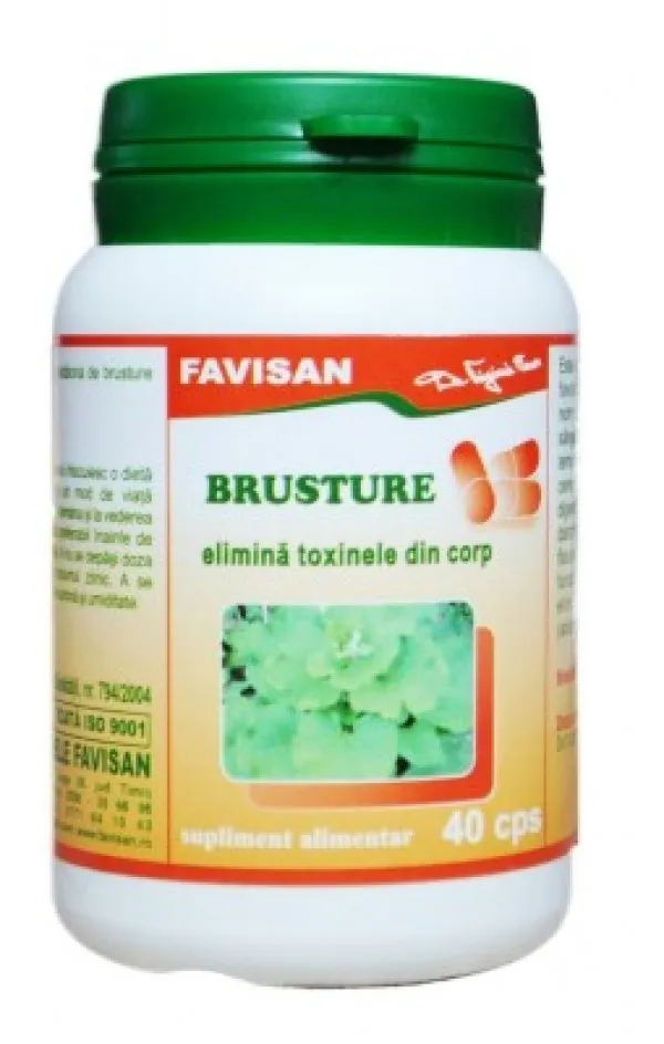 Favisan Brusture 40 capsule