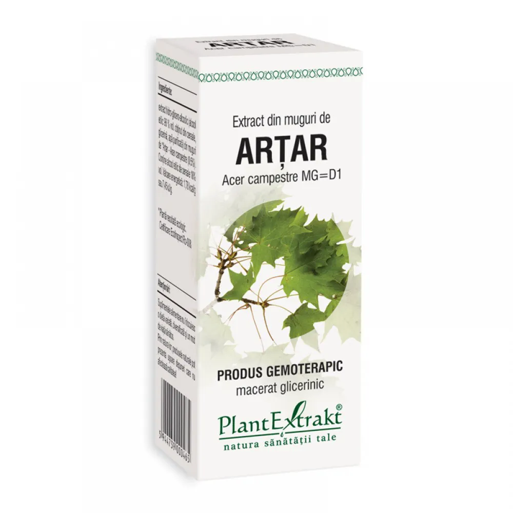 Extract din muguri de artar - Acer Campestre MG=D1 (50 ml), Plantextrakt