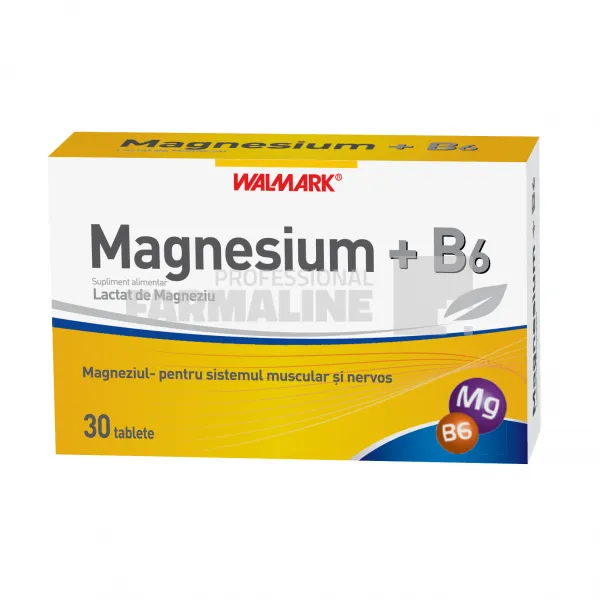 Magnesium + B6 30 tablete