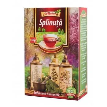 Ceai splinuta, 50g, AdNatura