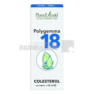 Polygemma 18 Colesterol 50 ml