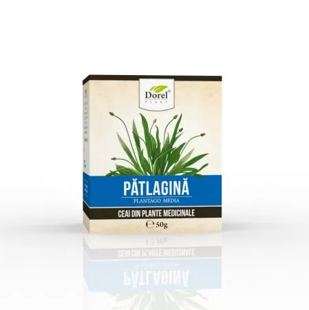 Ceai de Patlagina, 50g, Dorel Plant