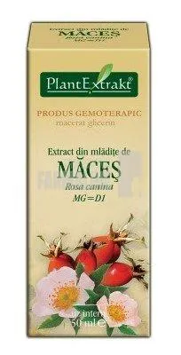 Extract din mladite de Maces 50 ml