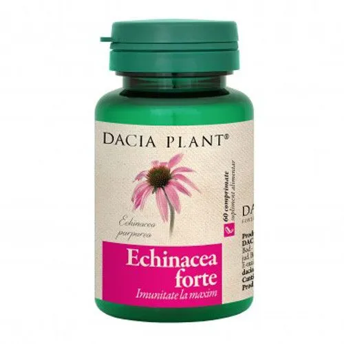 Echinacea forte, 60 comprimate, Dacia Plant