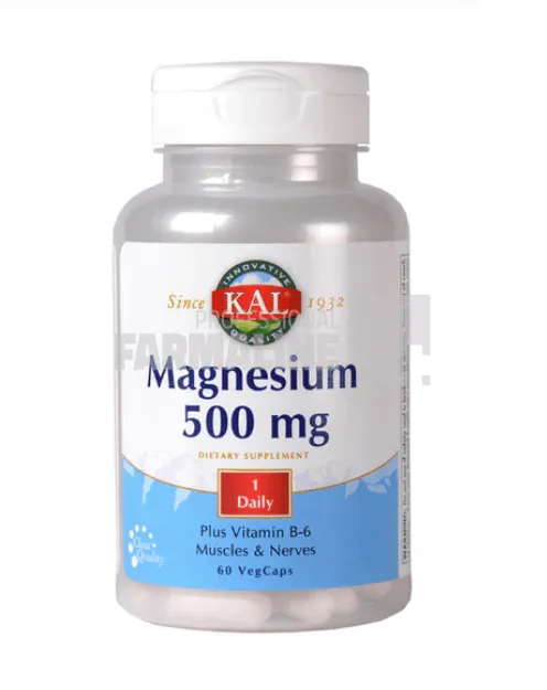 Magnesium 500 mg 60 capsule