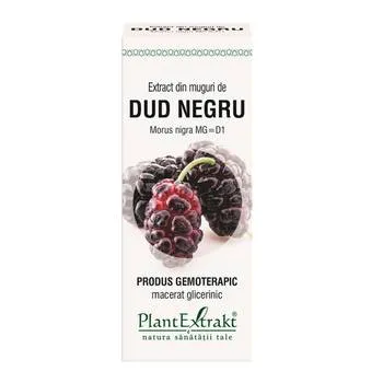 Extract din muguri de dud negru, 50ml, Plantextrakt