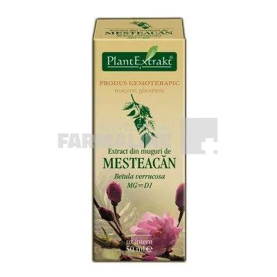 Extract din muguri de Mesteacan 50 ml