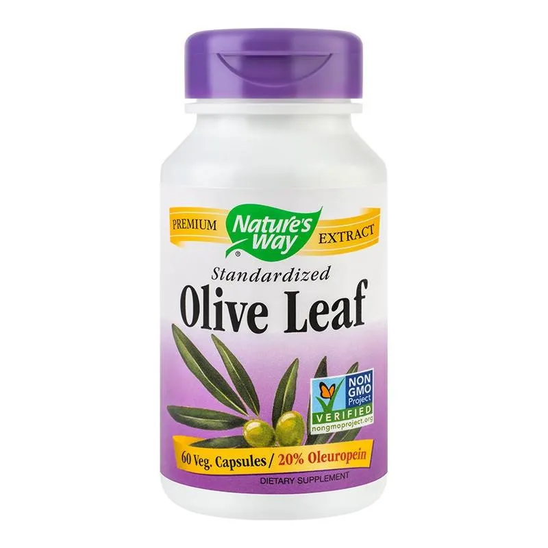 SECOM Olive Leaf 20% SE x 60 capsule