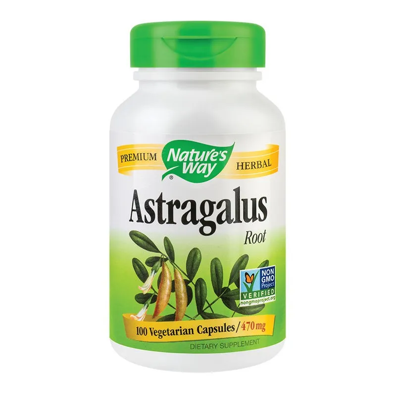 SECOM Astragalus root x 100 capsule