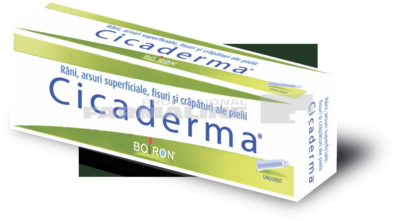 Cicaderma unguent 30 g
