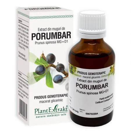 Extract din muguri de Porumbar, 50 ml, Plant Extrakt