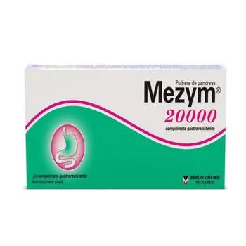 Mezym 20000, 20 comprimate, Berlin-Chemie