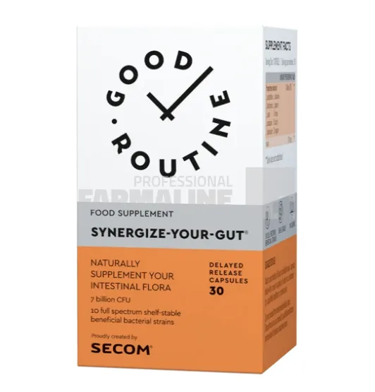 Synergize Your Gut - Good Routine 30 capsule