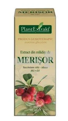 Extract din mladite de Merisor 50 ml