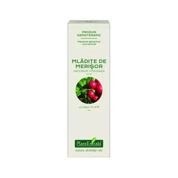 Extract concentrat din mladite de merisor, 15ml, PlantExtrakt