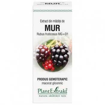 Extract din mladite de mur, 50ml, PlantExtrakt