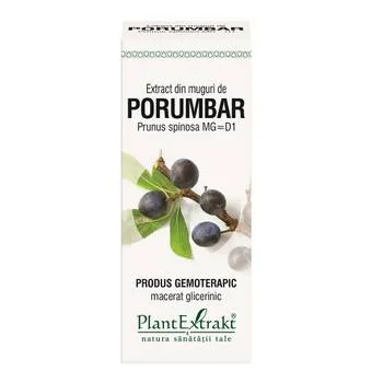 Extract din muguri de Porumbar, 50ml, Plantextrakt