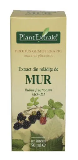 EXTRACT DIN MLADITE DE MUR 50ML