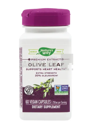 Olive Leaf (Frunze maslin) 60 capsule