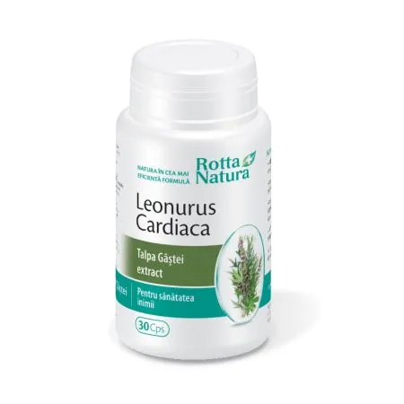 Leonurus Cardiaca - Extract Talpa Gastei, 30 capsule, Rotta Natura