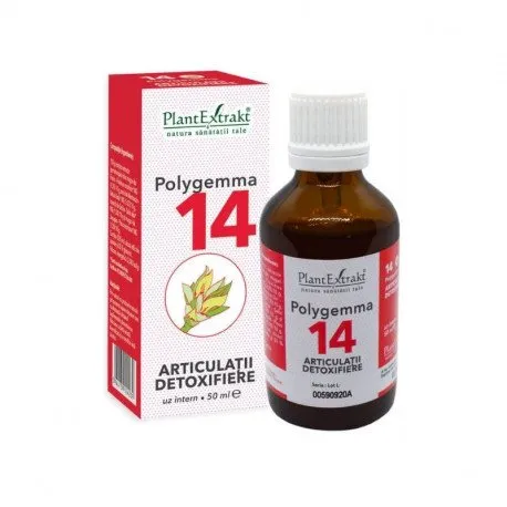 POLYGEMMA nr. 14 Articulatii , 50 ml