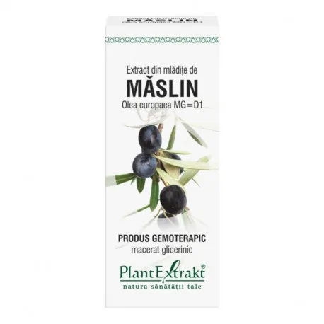 OLEA EUROPAEA(mladite maslin) 50ML SOL  PLANT EXTRAKT