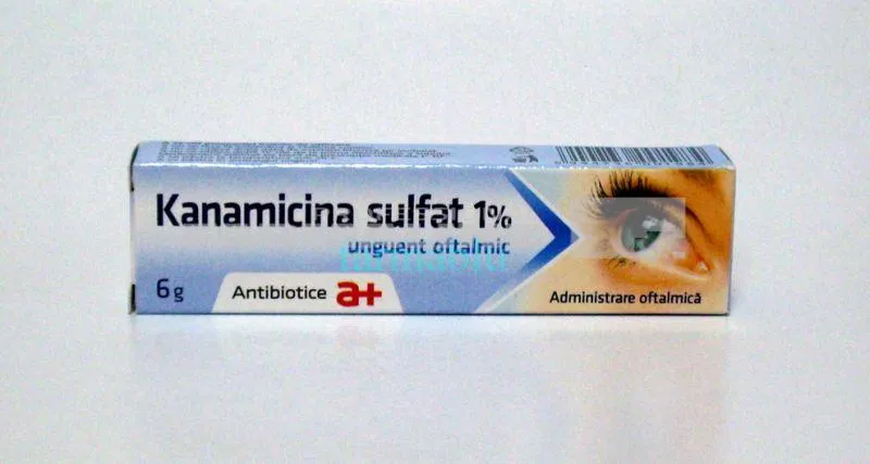 KANAMICINA SULFAT 1 x 1 UNG. OFT. 1% ANTIBIOTICE SA