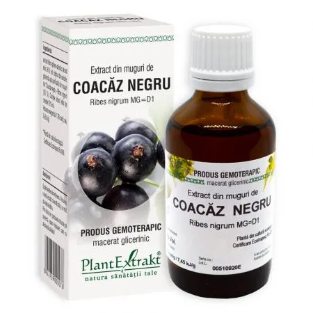 Extract din muguri de Coacaz Negru,  50 ml, Plant Extrakt