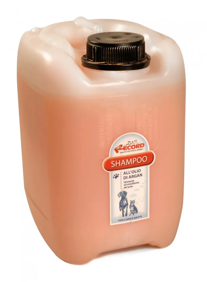 Sampon cu ulei de argan - 5L