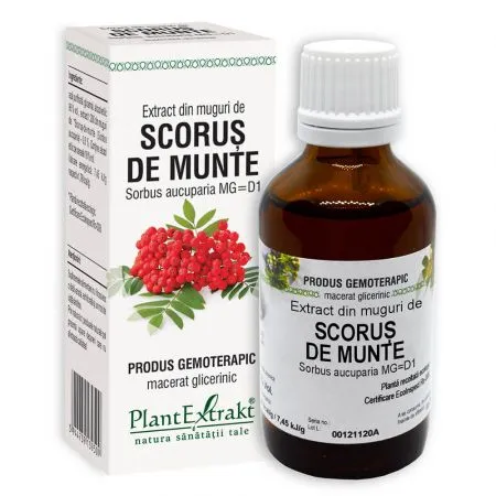 Extract din muguri de Scorus, 50 ml, Plant Extrakt