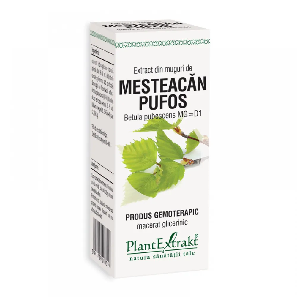 Extract din muguri de mesteacan pufos - Betula Pubescens (50 ml), Plantextrakt