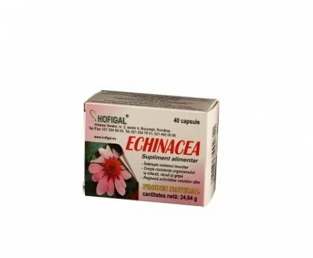 Echinacea 500mg x 40 capsule (Hofigal)