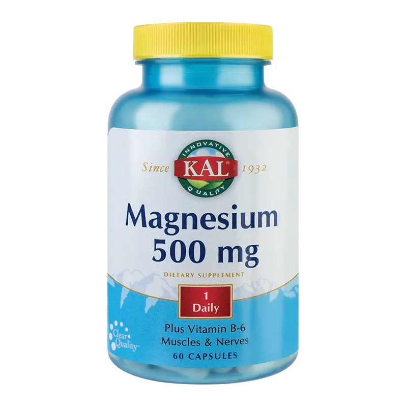 SECOM MAGNESIUM 500MG x 60CPS