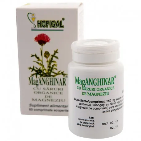 HOFIGAL MAGANGHINAR 60 COMPRIMATE