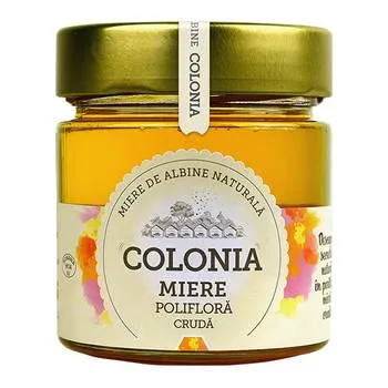 Miere poliflora cruda, 270g, Colonia