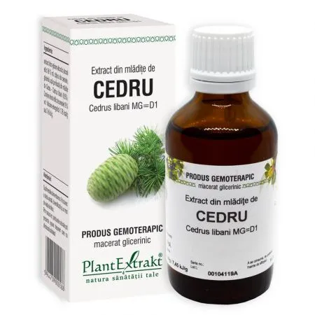 Extract din mladite de Cedru, 50 ml, Plant Extrakt