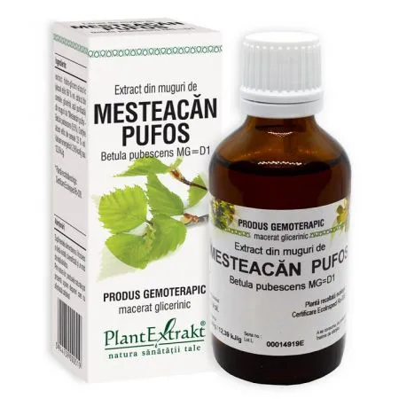 Extract din muguri de Mesteacan Pufos, 50 ml, Plant Extrakt