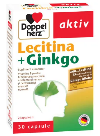 DOPPELHERZ AKTIV LECITINA + GINGKO 30 CAPSULE