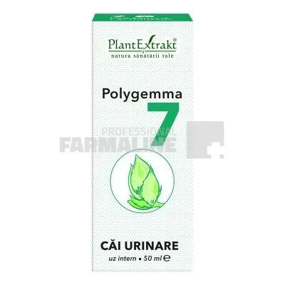 Polygemma 7 Cai Urinare