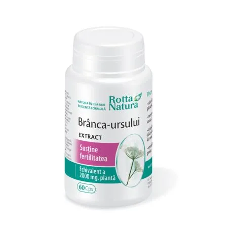 Branca Ursului Extract, 60 capsule, Rotta Natura