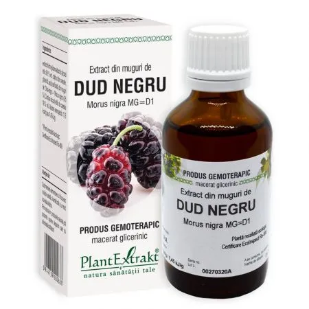 Extract din muguri de Dud Negru, 50 ml, Plant Extrakt