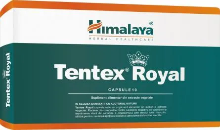 Tentex Royal x 10cps (Himalaya)