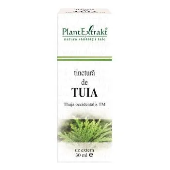 Tinctura de Tuia, 30ml, PlantExtrakt