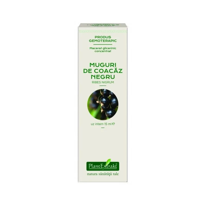 CONCENTRAT DIN MUGURI DE COACAZ NEGRU 15ML