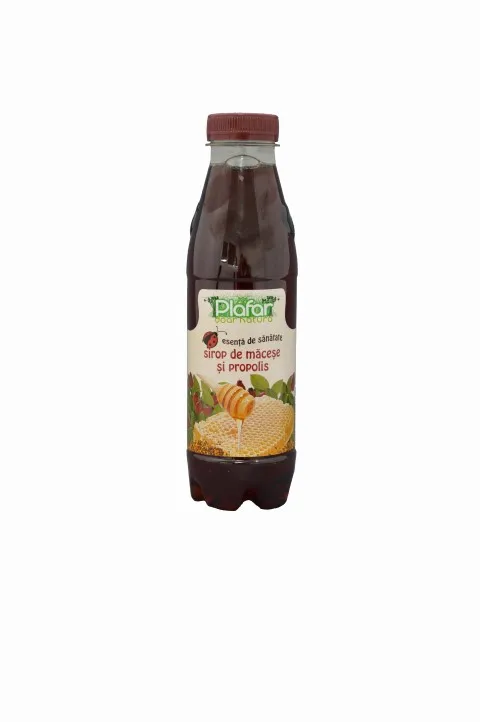 Alimente & Dieta