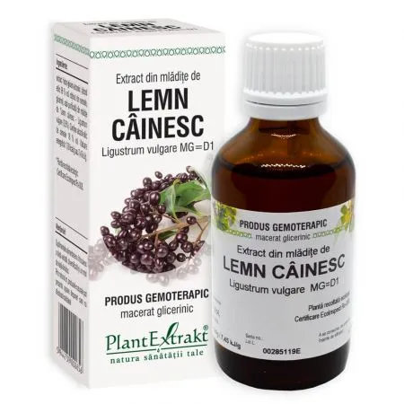 Extract din mladite de Lemn Cainesc, 50 ml, Plant Extrakt