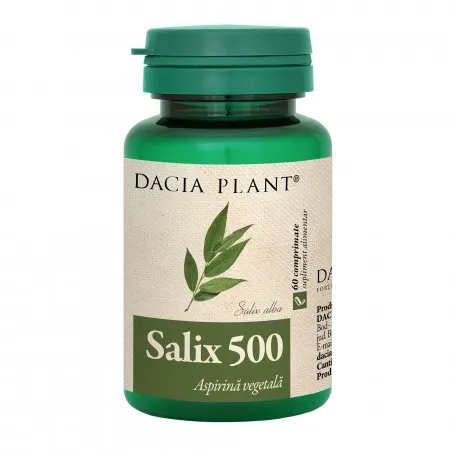 Salix 500mg x 60cp (Dacia Pl)