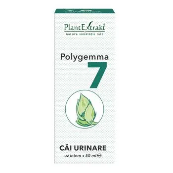 Polygemma 7 Cai urinare, 50ml, Plant Extrakt