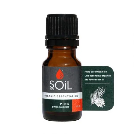 Ulei Esential Pin Pur 100% Organic, 10 ml, SOiL