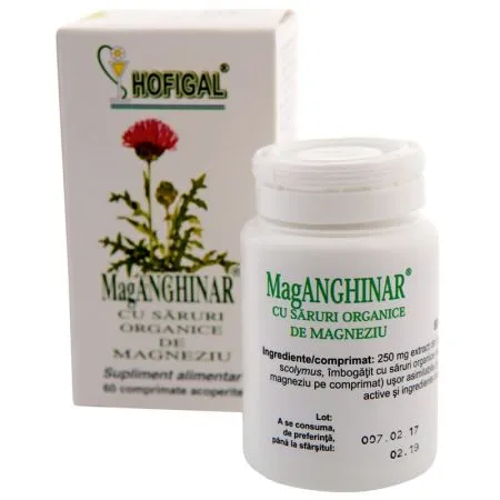 Supliment alimentar MagAnghinar, 60 comprimate, Hofigal